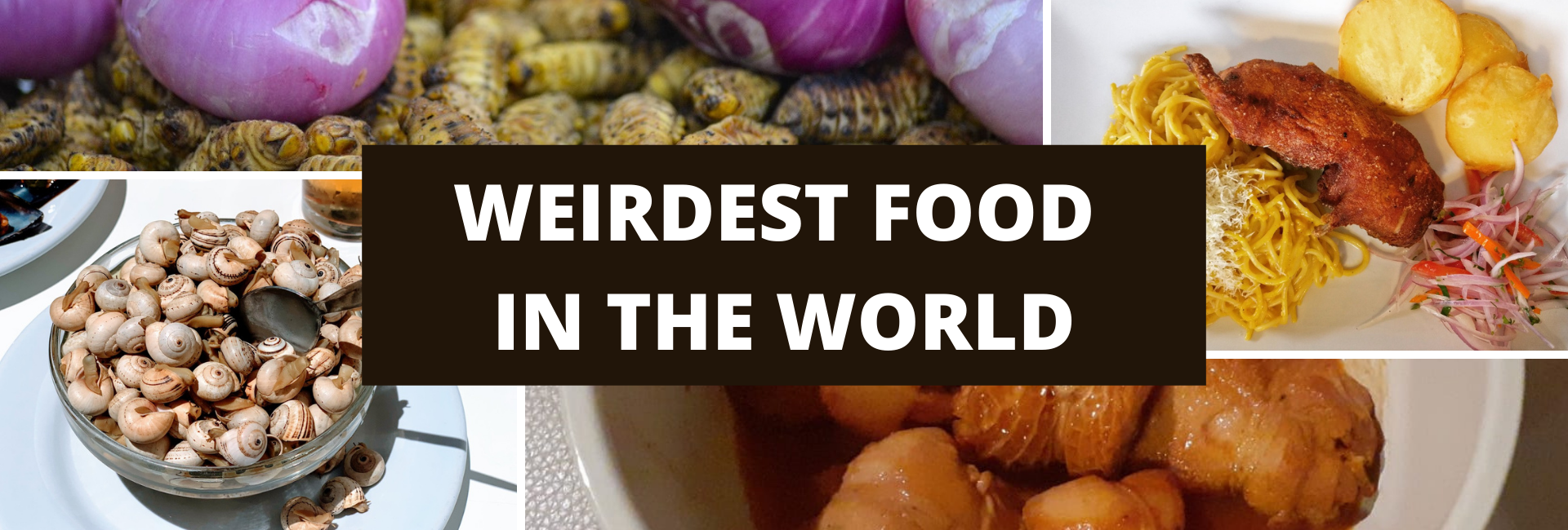 30-weirdest-food-in-the-world-two-worlds-treasures