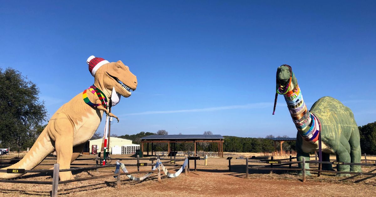 many dinosaurs run - Playground