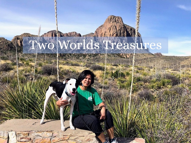 TWO WORLDS TREASURES logo